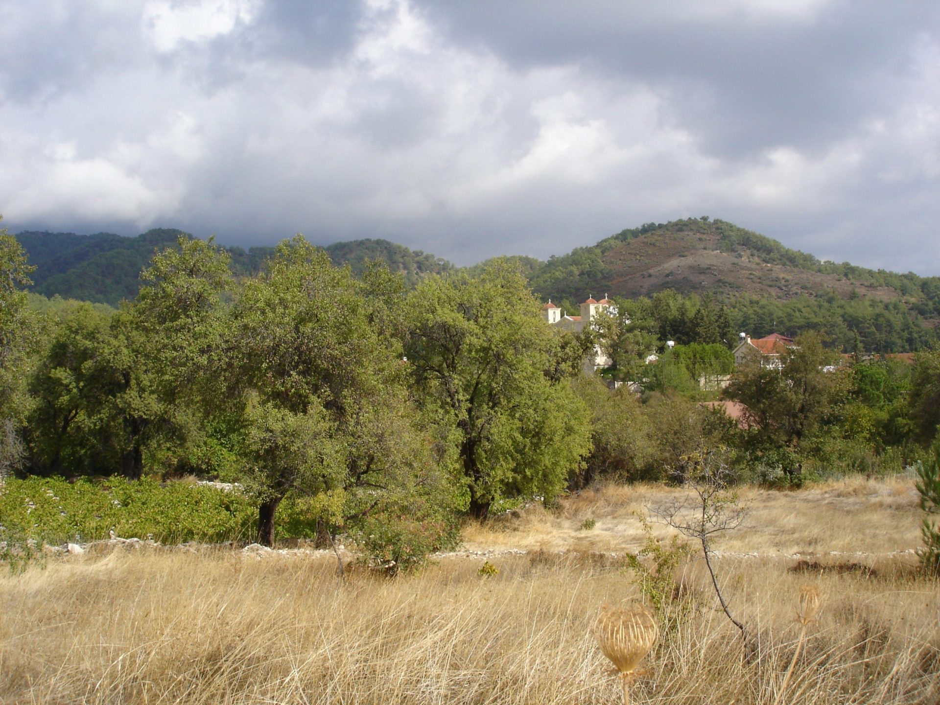 Limassol Property Large Residential Plot In Pera Pedi