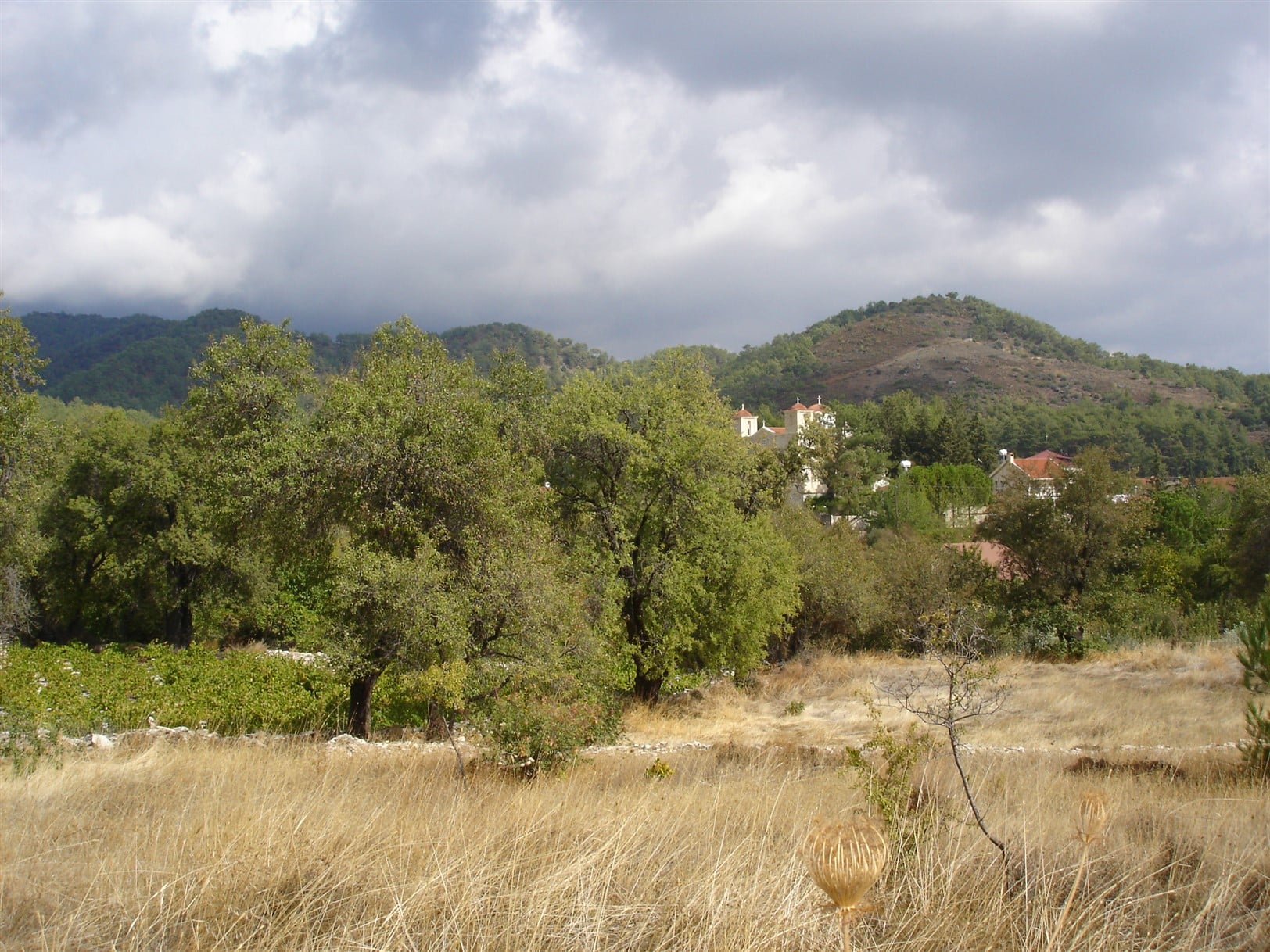 Limassol Property Residential Plot