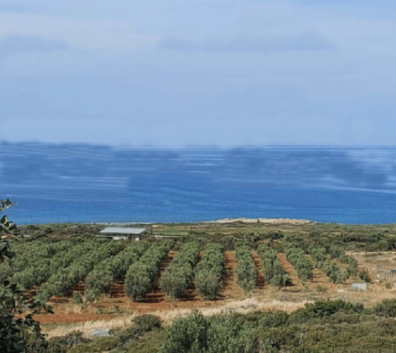 Famagusta Property Seafront Plot With Planning Permit
