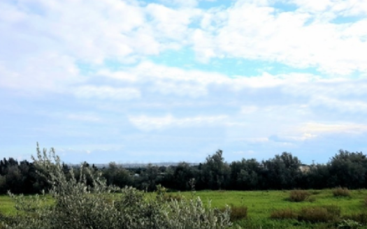 Limassol Property Plots Near New Casino