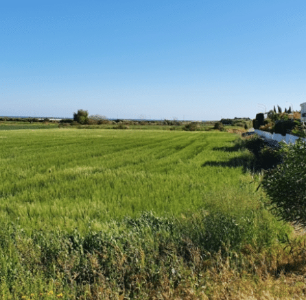 Limassol Property Plot