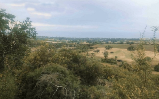 Limassol Property Plot in the Luxurious Area