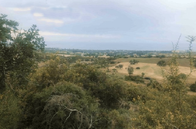 Limassol Property Plot in the Luxurious Area