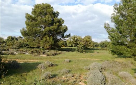 Limassol Property Large Plot – 18.508 m2 in Souni