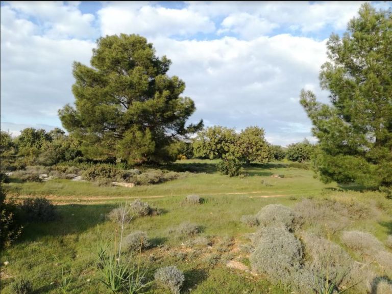 Limassol Property Large Plot – 18.508 m2 in Souni