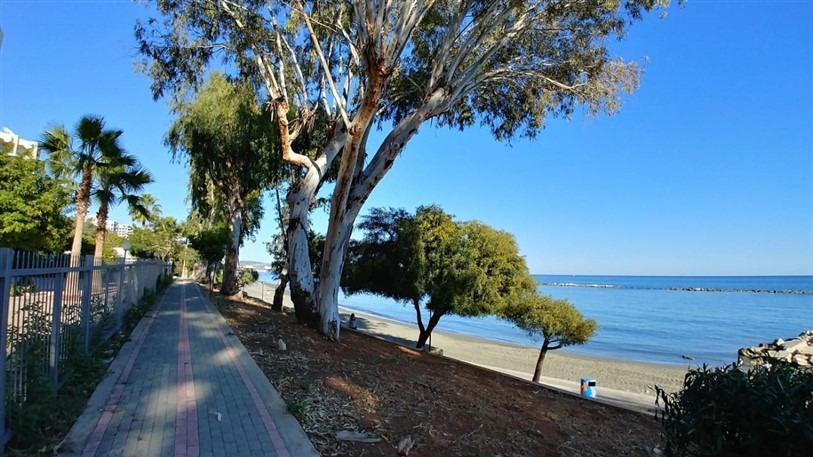 Limassol Property New Apartment on the Beachfront