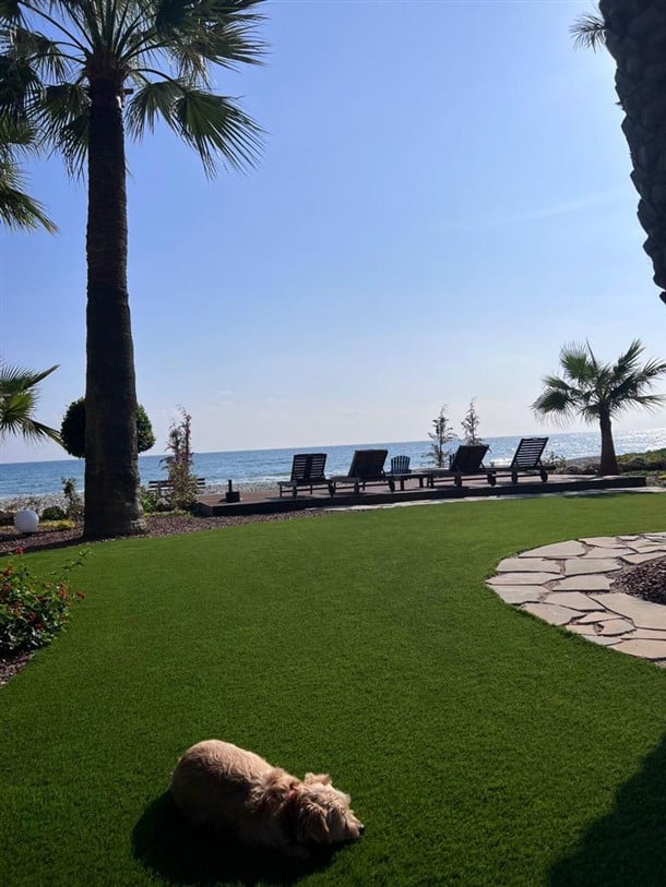 Larnaca Property Exclusive Beachfront House