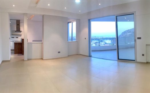 Limassol Property Whole Floor Penthouse