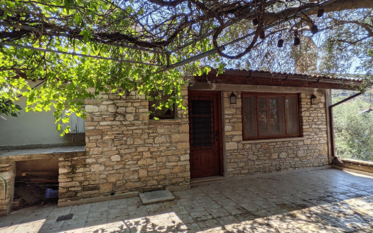 Paphos Property Ground Floor House