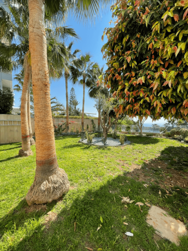 Limassol Property 4 Bedroom Seafront Apartment