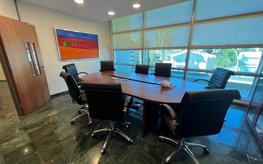 Limassol Property Office Space in Prime Location