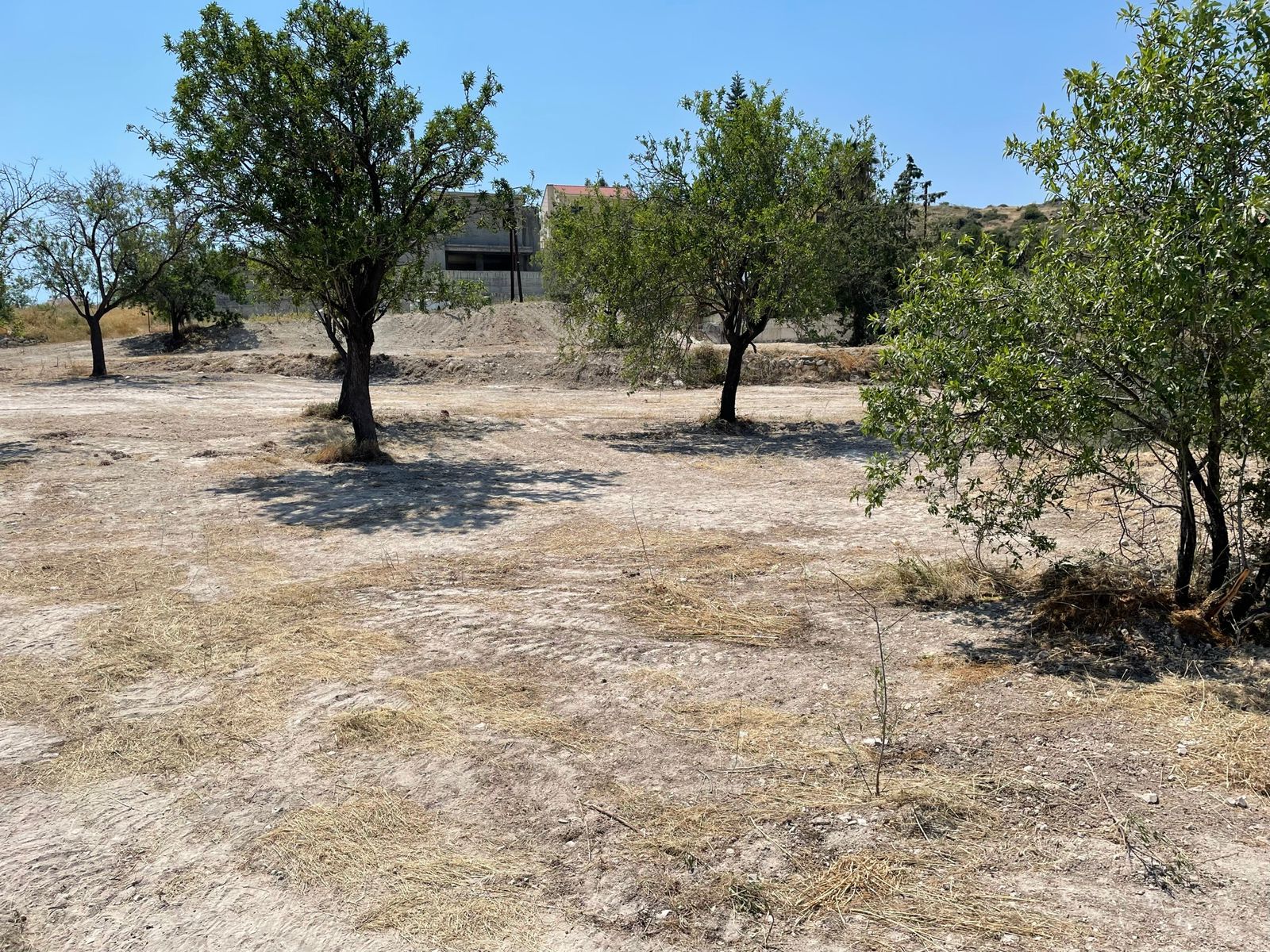 Limassol Property Field 3825 m2 in Agios Tychonas