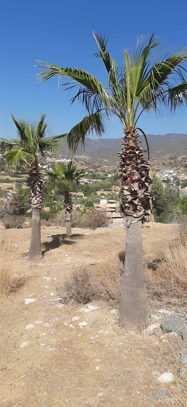 Limassol Property Large Plot with Views
