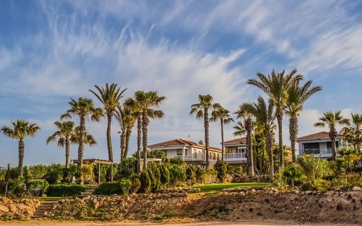 What is the current status of Cyprus real estate