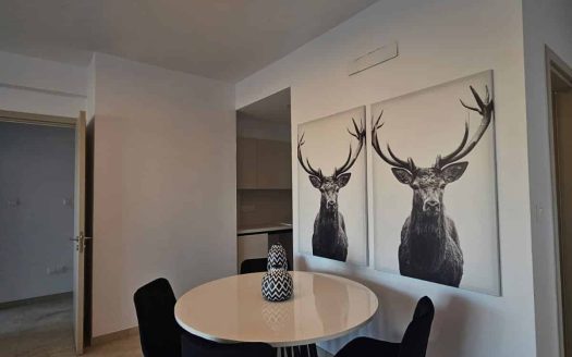 Limassol Property 2 Bedroom Apartment in Agios Athanasios