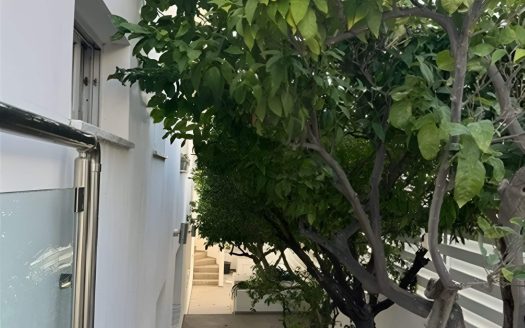 Limassol Property Corner Six Bedroom House