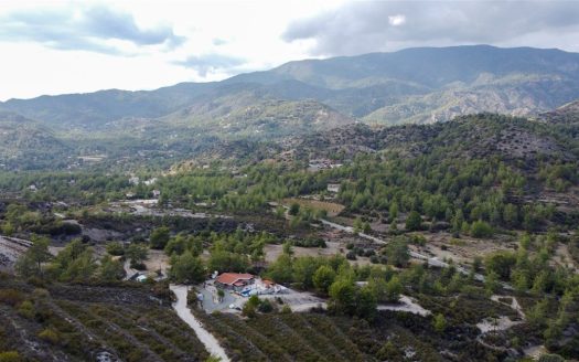 Limassol Property Field in Trimiklini- 25.284 m2