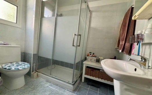 Paphos Property Charming Three Bedroom House