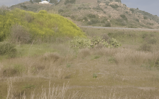 Limassol Property Land in Eptagonia- 4.558 m2