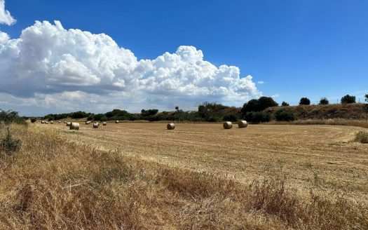 Famagusta Property Field in Avgorou-14.340 m2