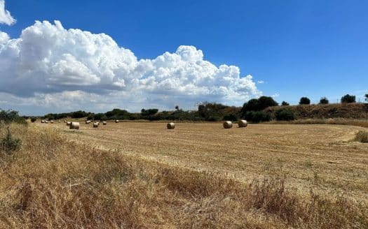 Famagusta Property Field in Avgorou-14.340 m2
