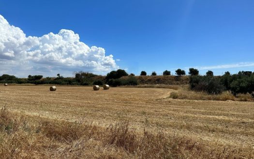 Famagusta Property Field in Avgorou-14.340 m2