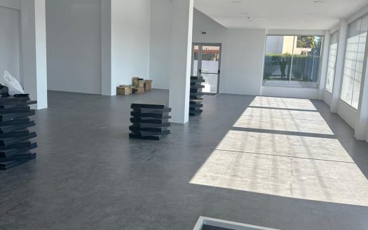 Limassol Property Two Commercial Buildings