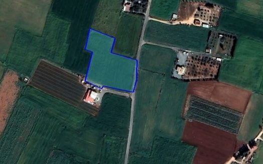 Famagusta Property Field in Avgorou-7.940 m2