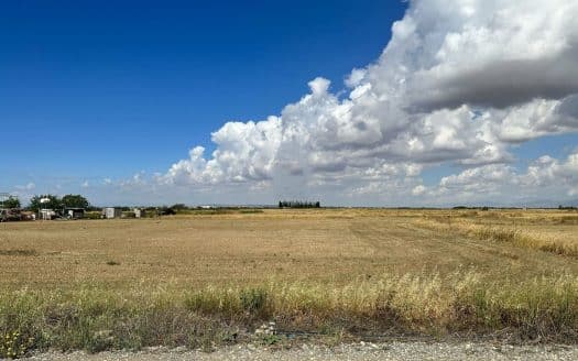 Famagusta Property Field in Avgorou-7.940 m2