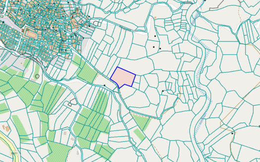 Limassol Property Vineyard Plot in Omodos-4.683 m2