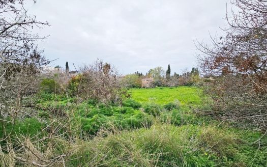 Paphos Property Residential Plot- 2.007 m2