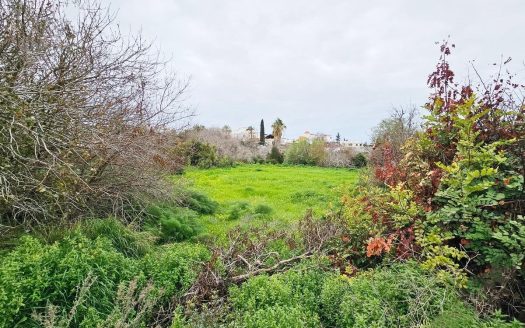 Paphos Property Residential Plot- 2.007 m2
