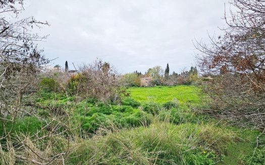 Paphos Property Residential Plot- 2.007 m2