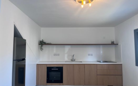 Limassol Property Modern Dual-Unit Detached House