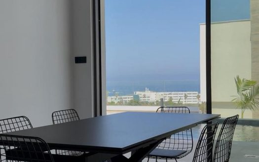 Paphos Property Brand New Three Bedroom House