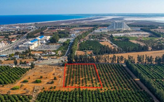 Limassol Property Industrial Field in Kato Polemidia-12.000 m2