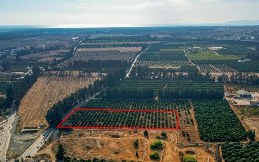Limassol Property Industrial Field in Kato Polemidia-12.000 m2