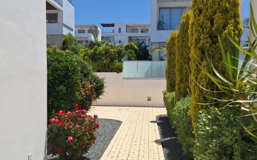 Paphos Property Four Bedroom Villa with Pool