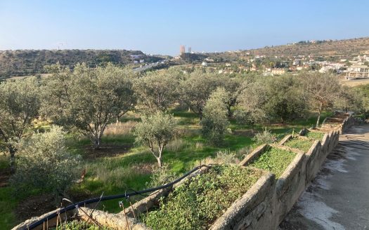 Limassol Property Large Residential Plot in Agios Tychonas- 4.900 m2