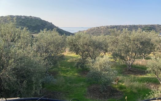 Limassol Property Large Residential Plot in Agios Tychonas- 4.900 m2