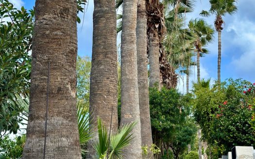 Paphos Property Two Bedroom Townhouse