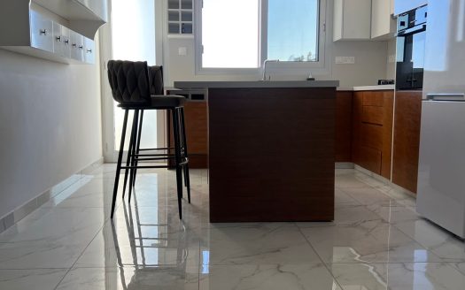 Limassol Property Modern Two Bedroom Penthouse