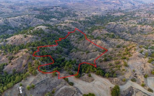 Shared field in Politiko, Nicosia