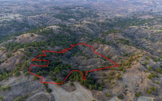 Shared field in Politiko, Nicosia