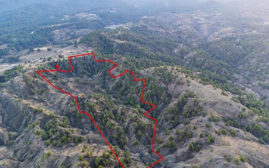 Shared field in Politiko, Nicosia