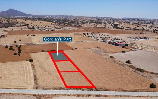 Shared residential field in Alaminos, Larnaca