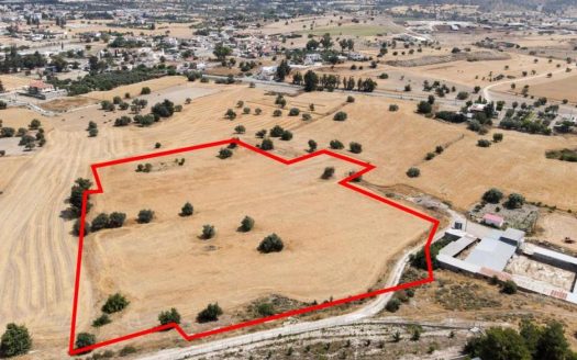 Shared residential field in Anglisides, Larnaca