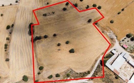 Shared residential field in Anglisides, Larnaca