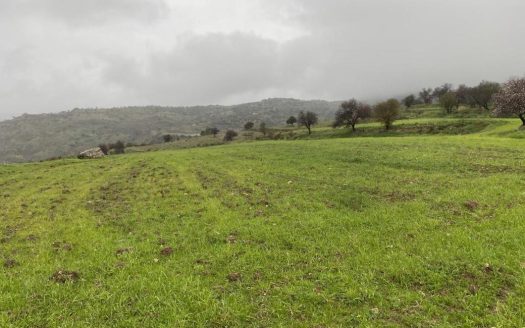 Shared residential field in Kelokedara, Paphos