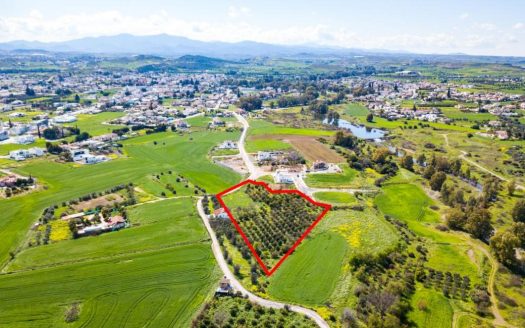 Shared residential field in Dali, Nicosia